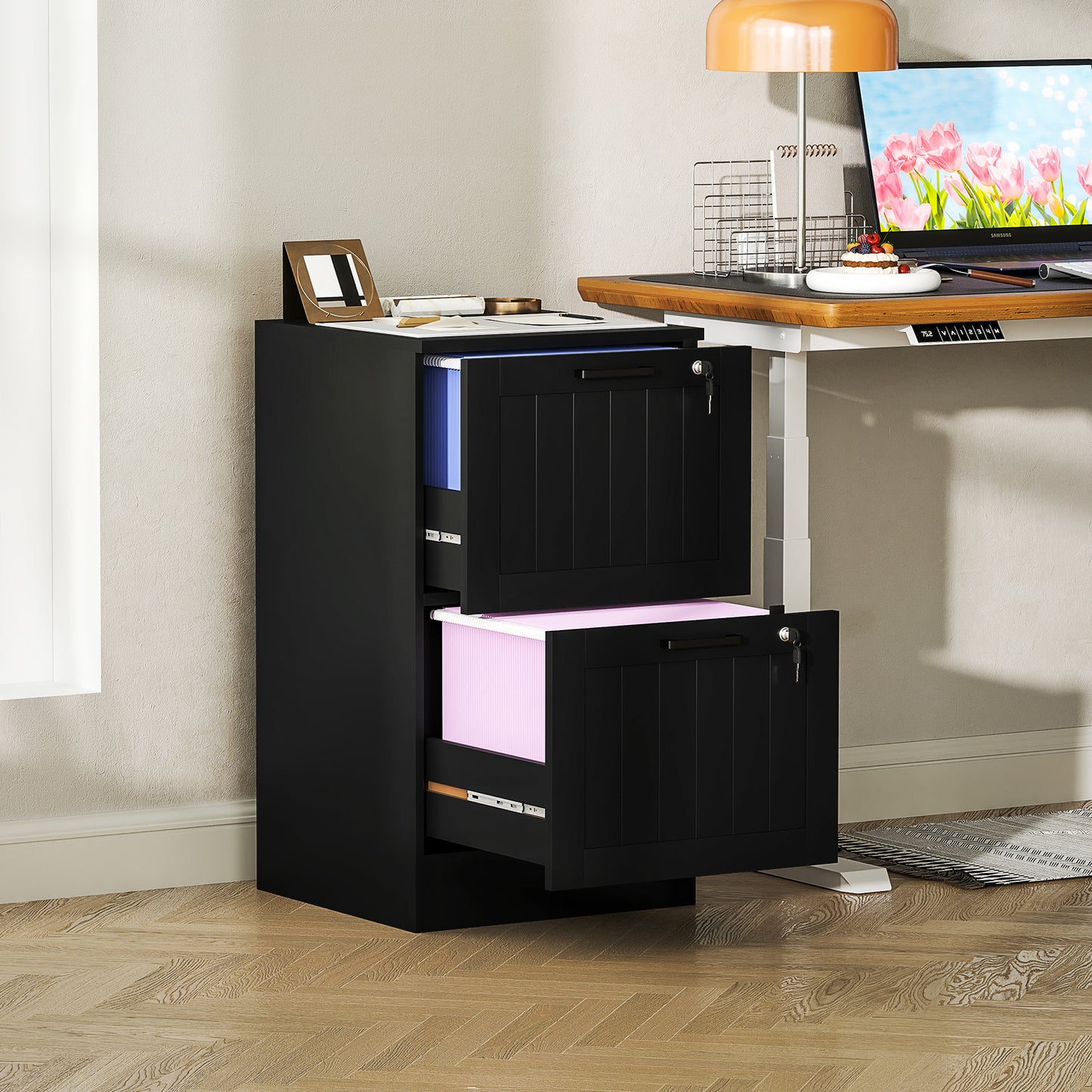 2-Drawer Locking File Cabinet with Adjustable Hanging Bars