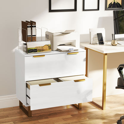Lateral File Cabinet with 2 Drawers, Modern Filing Cabinet for Letter/A4/Legal Size Files, High Gloss White