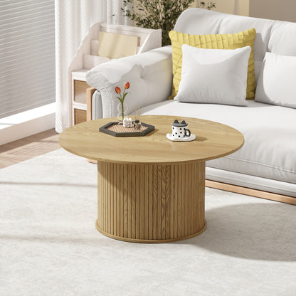 Modern Coffee Table with Storage Shelf, Oak